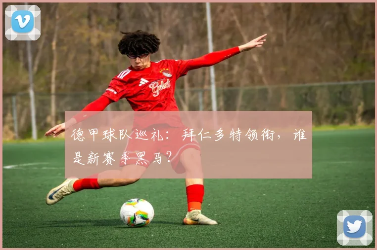 德甲球队巡礼：拜仁多特领衔，谁是新赛季黑马？