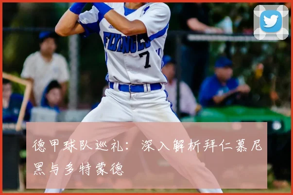 德甲球队巡礼:深入解析拜仁慕尼黑与多特蒙德